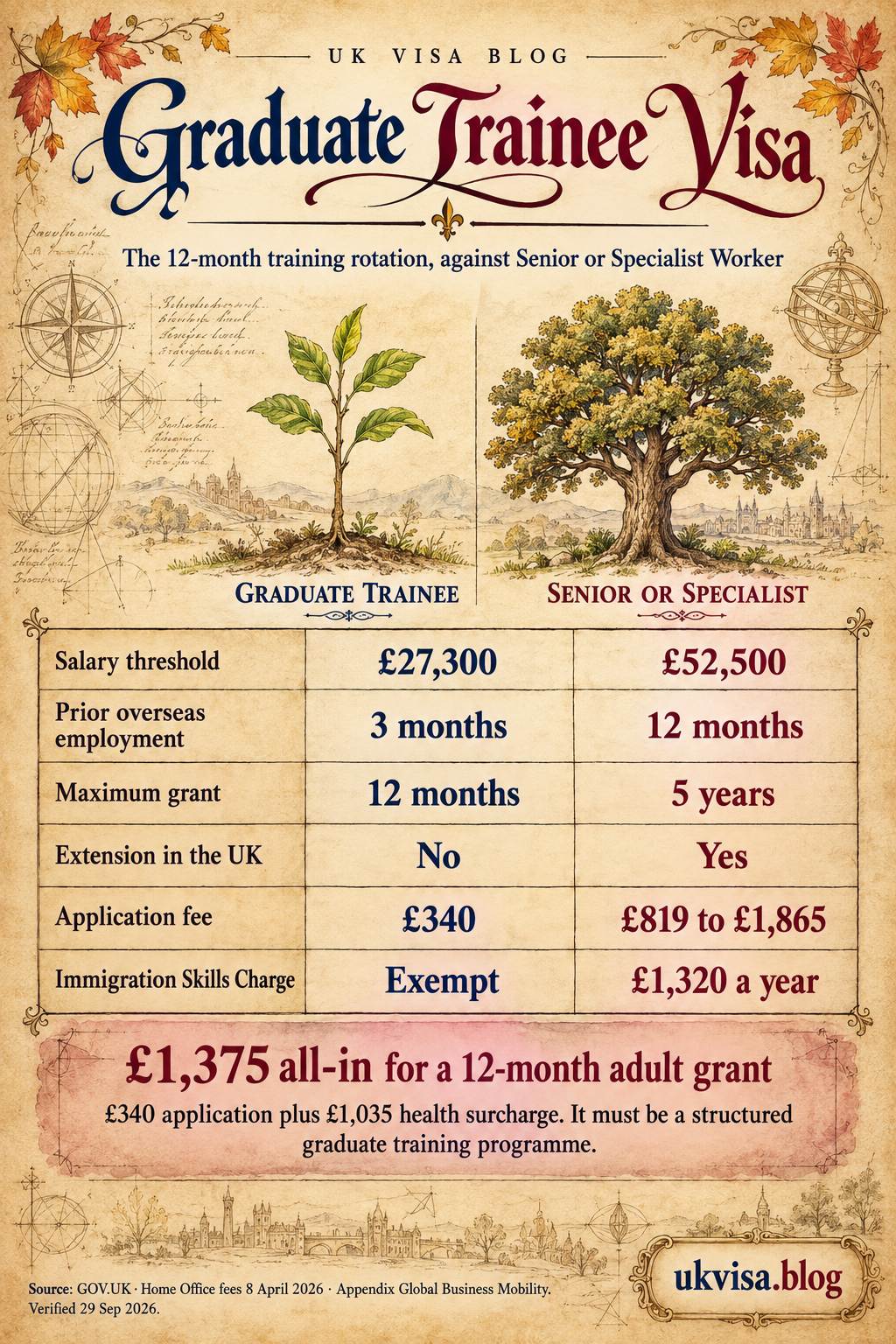 Parchment-style infographic, Graduate Trainee Visa: the 12-month training rotation, against Senior or Specialist Worker.
